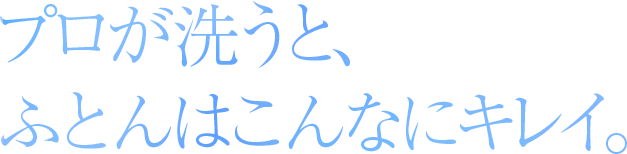 ブロが洗うと、ふとんはこんなにキレイ。